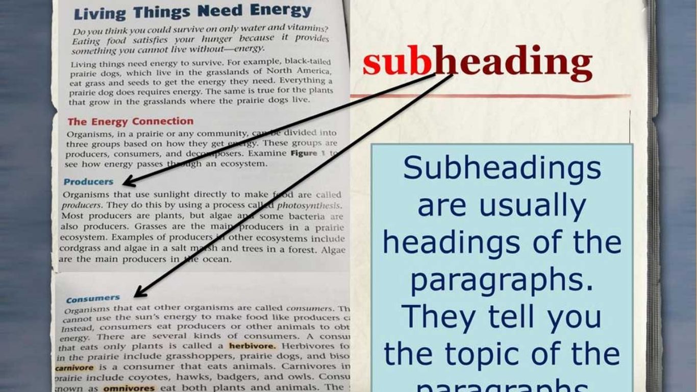 Second Order Subheading Subheading là gì? Cách viết subheading chuẩn SEO và dễ đọc