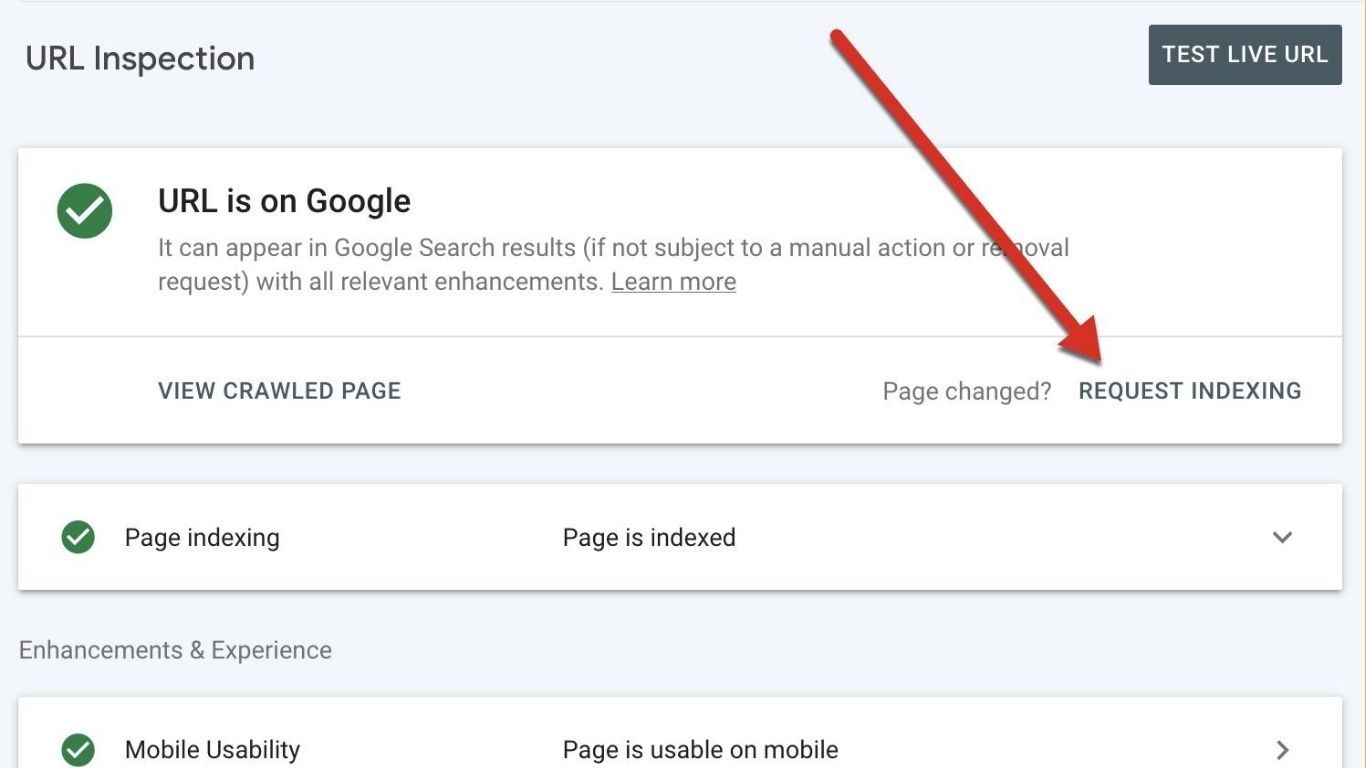 lỗi bị loại trừ bởi thẻ noindex trong google search console