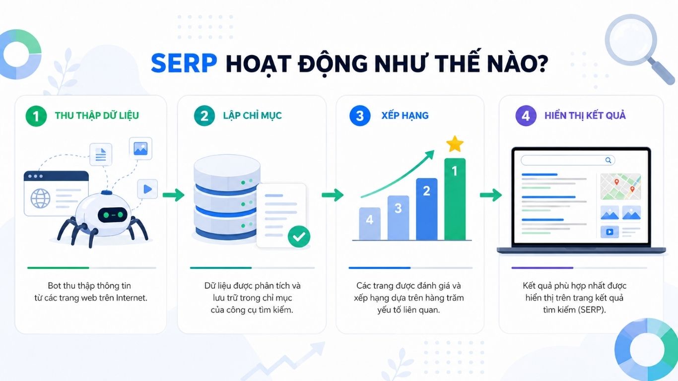 SERP là gì? Tầm quan trọng của SERP trong SEO
