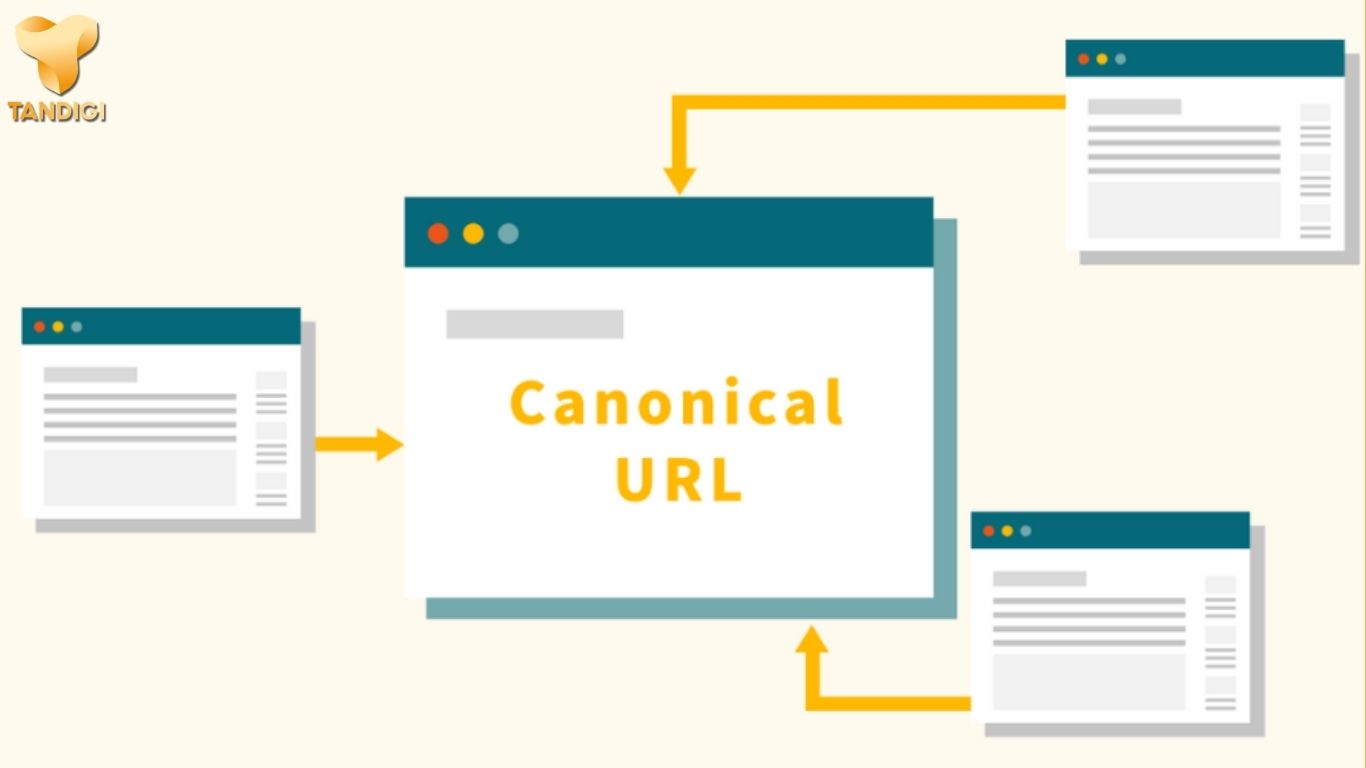Cách kiểm tra canonical trên website