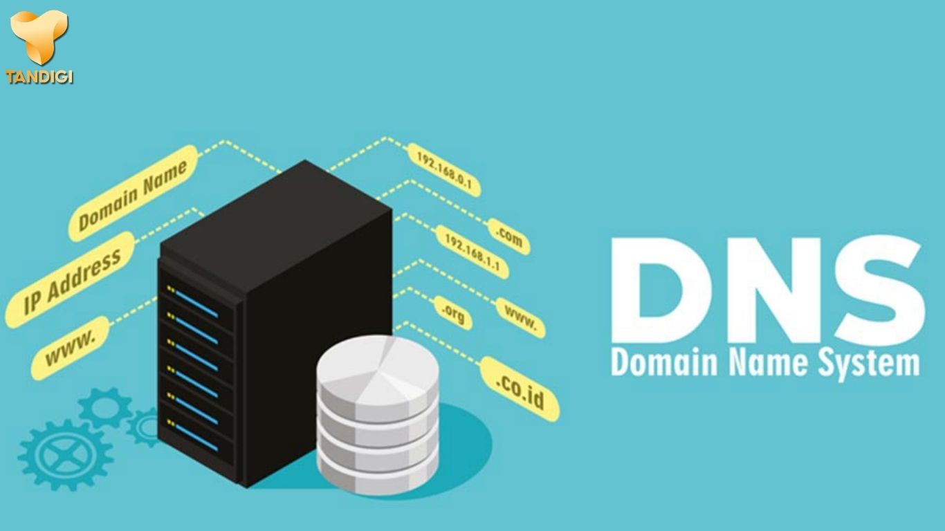 Cách chọn domain trước khi đăng ký