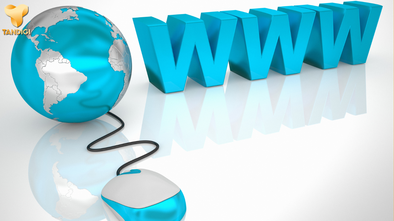 World Wide Web ngày nay gồm những gì?