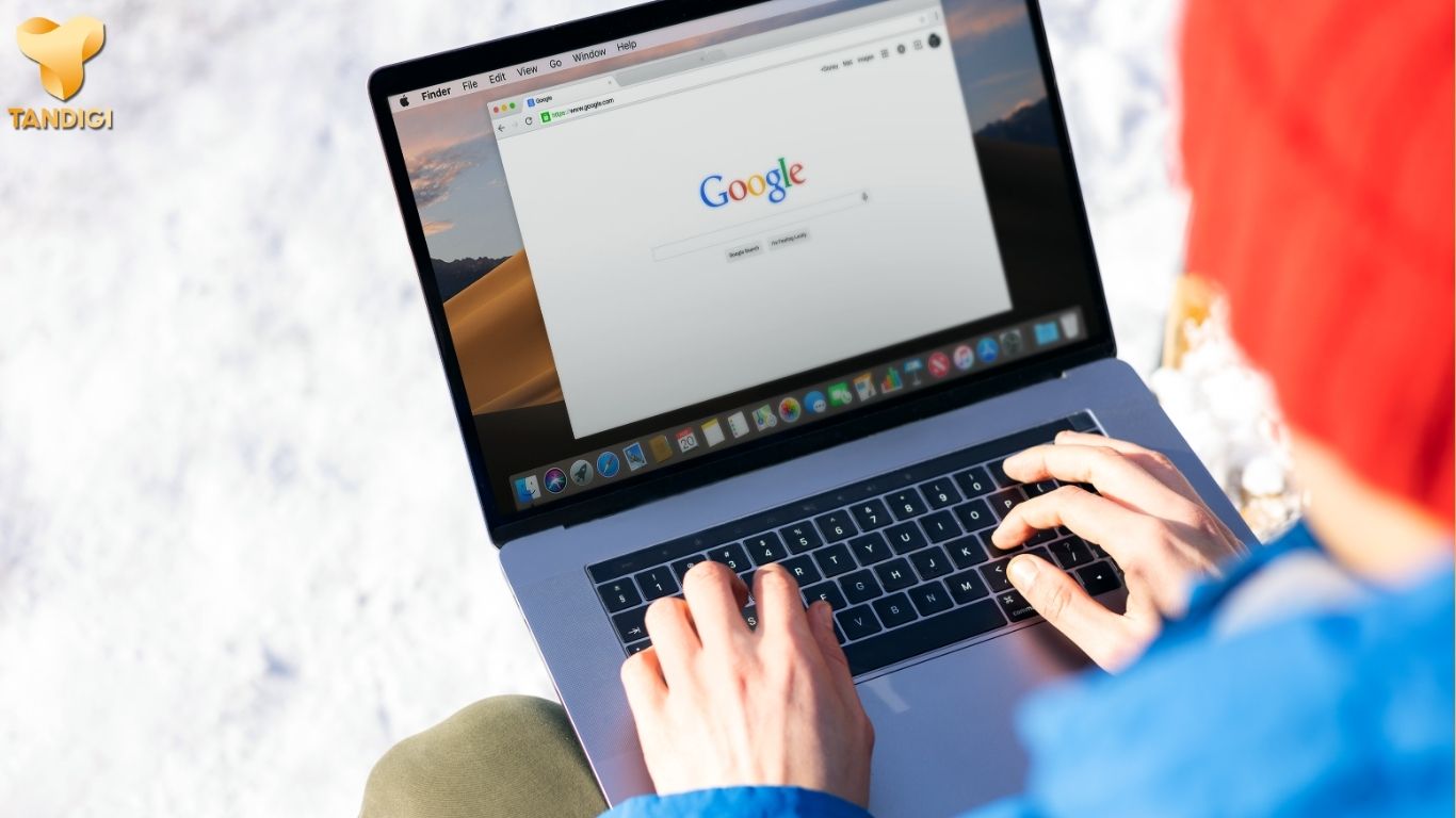 Công ty SEO là gì?